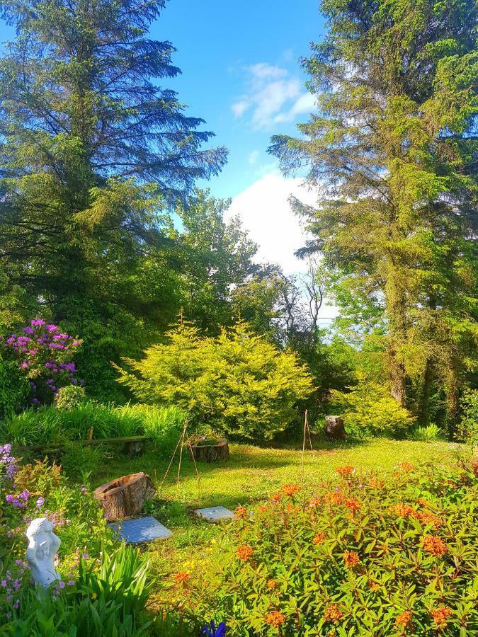 Leenan View Country House Guest House Portsalon Exterior photo